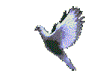 images/avatars/avatar-660.gif